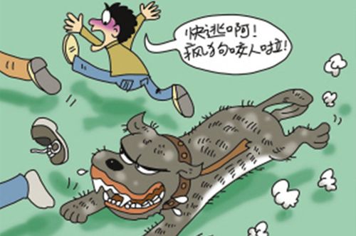 網(wǎng)站收錄在網(wǎng)站優(yōu)化中起到什么作用？