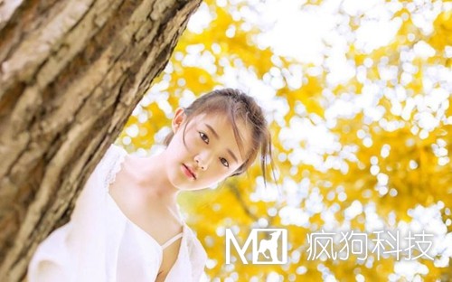 收藏：快速頁(yè)面收錄的六大絕技！